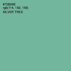 #72B69E - Silver Tree Color Image
